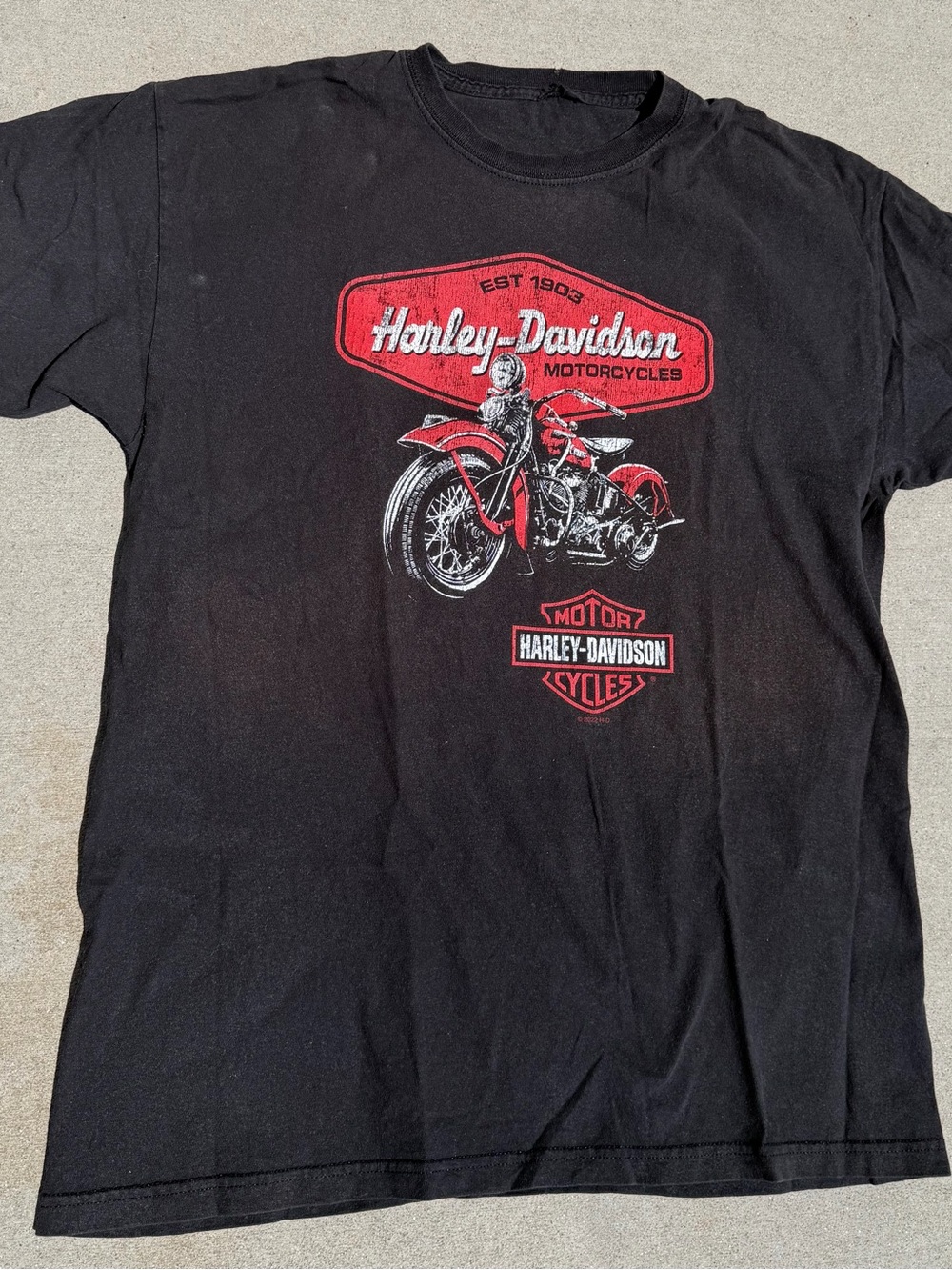 Harley-Davidson Alligator Alley Fort Lauderdale Graphic Tee